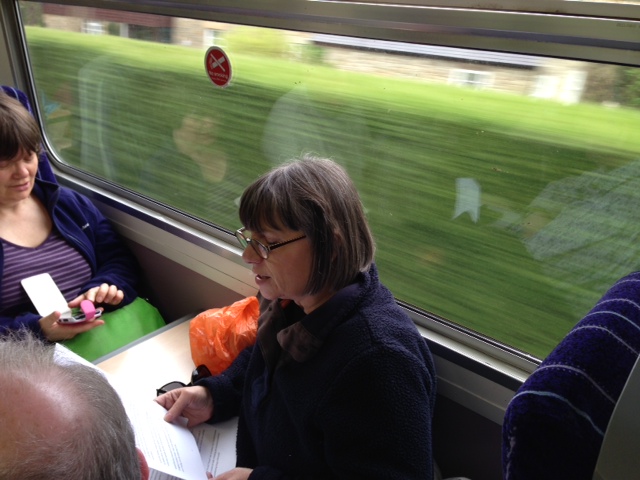Woman reading on a train